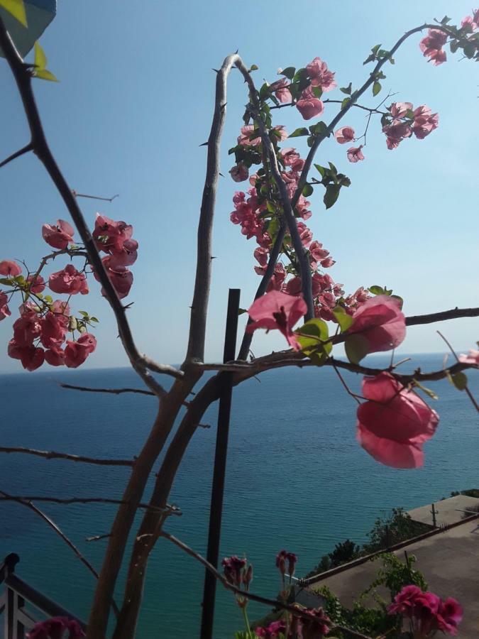 צ'פרו Odhisea Hotel Restaurant מראה חיצוני תמונה